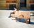 Seating and litter bins - All Saints Park, Manchester 14