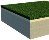 NottsBase NGU cricket surface - on this page