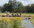 Seating and picnic tables help revitalise recreational area in Rotterdam 2