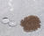 weiss™ Stain Protect Pro - water-based stone and paving sealer for outdoors 2
