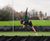 ECB-approved artificial cricket systems 13
