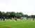 Sports pitch resurfacing and facility upgrades - Blenheim High School 3