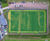 Trentham Academy to Deliver State-of-the-Art Hockey Pitch 1