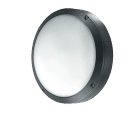 Cobalt circular wall light