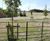 Steel estate railings protect prestigious new housing development 3
