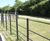 Steel estate railings protect prestigious new housing development 0