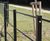 Steel estate railings protect prestigious new housing development 4