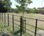 Steel estate railings protect prestigious new housing development 8