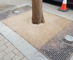 Sudstech permeable paving for tree pits in Sheffield