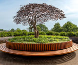 Bespoke planter seat encloses and supports sculpture - Wimbledon - on this page