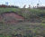 Sustainable and effective stabilisation of an eroding retaining wall 2