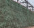 Biotic soil amendment and hydroseeding on a lime-stabilised clay slope 2