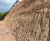 Biotic soil amendment and hydroseeding on a lime-stabilised clay slope 1