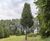 Unique specimens - special variety trees and shrubs 2