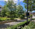 Specimen trees for urban regeneration - White City, London 1