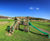 Timber play equipment encourages visitors to Loch Leven’s Larder 5