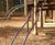 Natural timber play towers - Brodie Castle, Moray 4