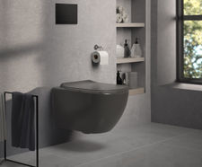 Tesi Toilets