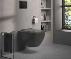 Tesi Toilets