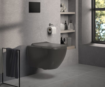 Tesi Toilets