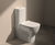 Tesi Toilets 2