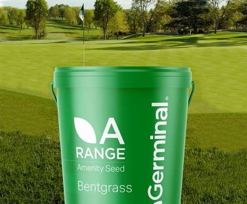 Tour Leader - bentgrass seed mixture for golf greens