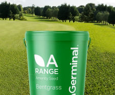 Forefront Greens - grass seed mix for golf greens