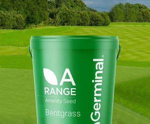 AberMajesty - brownbent grass seed mix for golf greens