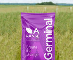 A4 Low Maintenance Areas - grass seed mix