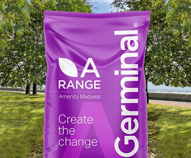 A21 Saline Coastal and Road Verges - grass seed mix