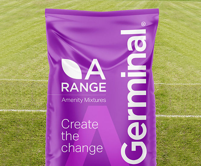 A5 Cricket, Tennis and Tees - grass seed mixture