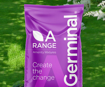 A6 Supreme Shade - grass seed mixture