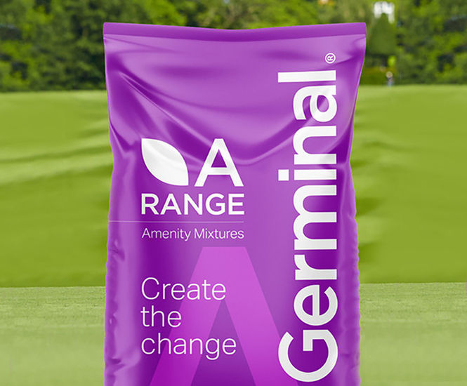 A8 Ultrafine Ryegreens - grass seed mix for renovating greens
