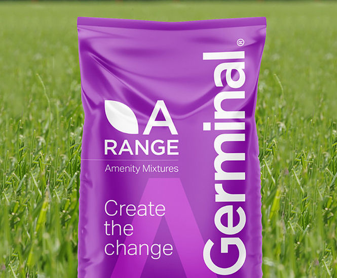A9 General Outfield - general-purpose sports field grass seed mix