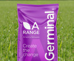 A9 General Outfield - general-purpose sports field grass seed mix