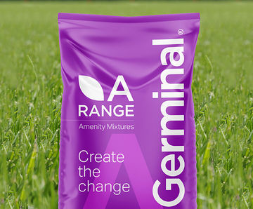A9 General Outfield - general-purpose sports field grass seed mix