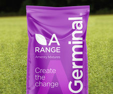A11 Golf Greens - overseeding grass mixture