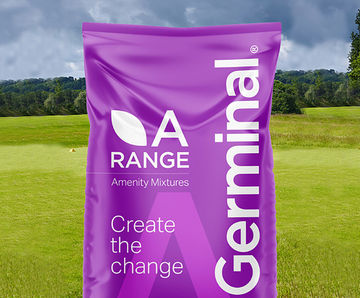 A12 Golf Fairways - grass seed mix for rapid divot repair