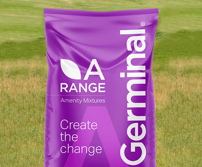 A13 Golf Roughs & Habitat Areas - grass seed mixture
