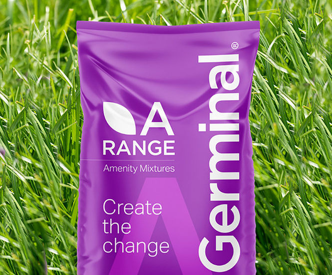 A15 Reclamation Landfill - grass seed mixture