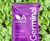 A17 Legume and Clover - grass seed mixture for poor sites - on this page