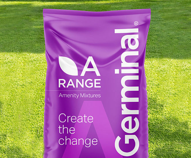 A19 All Purpose Landscaping - grass seed mix