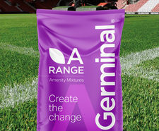 A20 Premier Ryesport - grass seed mixture