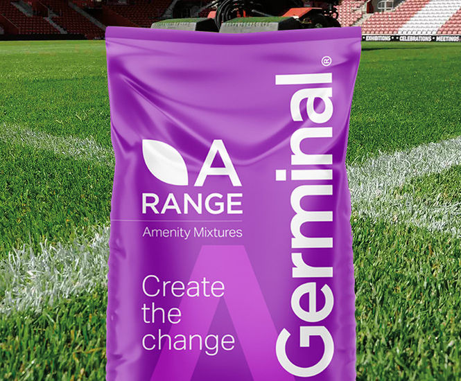 A20 Premier Ryesport - grass seed mixture
