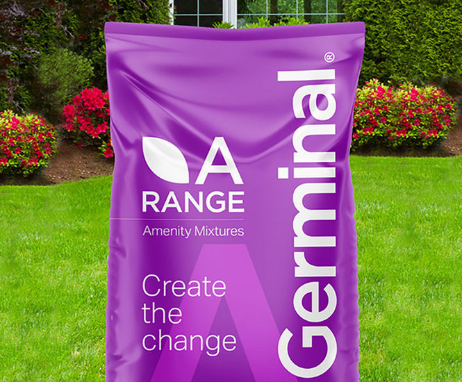 A22 Low Maintenance - grass seed mixture for lawns