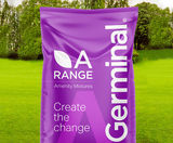 A24 Wear & Tear - high-quality general-purpose grass seed mixture - on this page