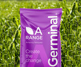 A25 Agricultural Reinstatement - permanent pasture seed mixture - on this page