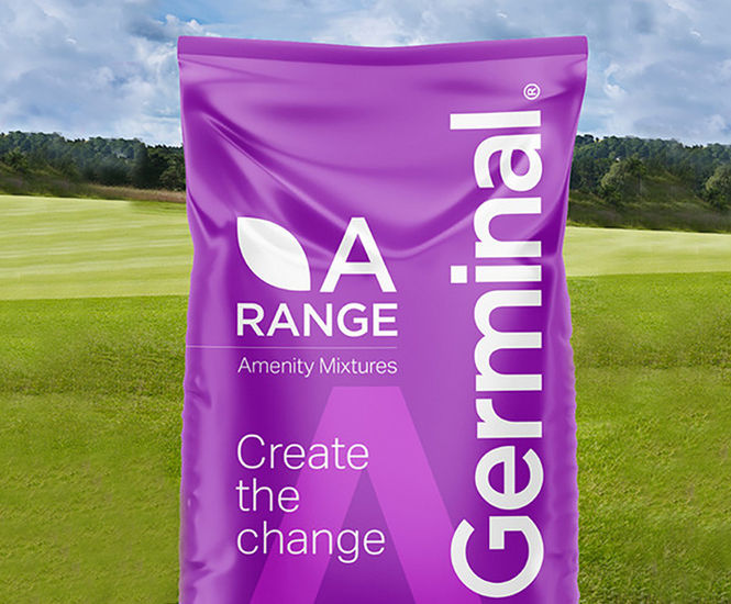 A27 All Fescue - grass seed mixture for golf greens and fairways