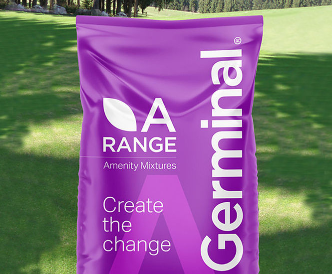 A31 Supreme Tees - golf tee grass seed mixture for shaded areas