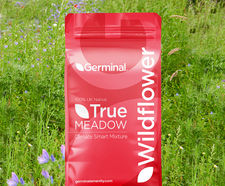 RE2 Lowland Meadow (MG9 Grassland) - seed mixture